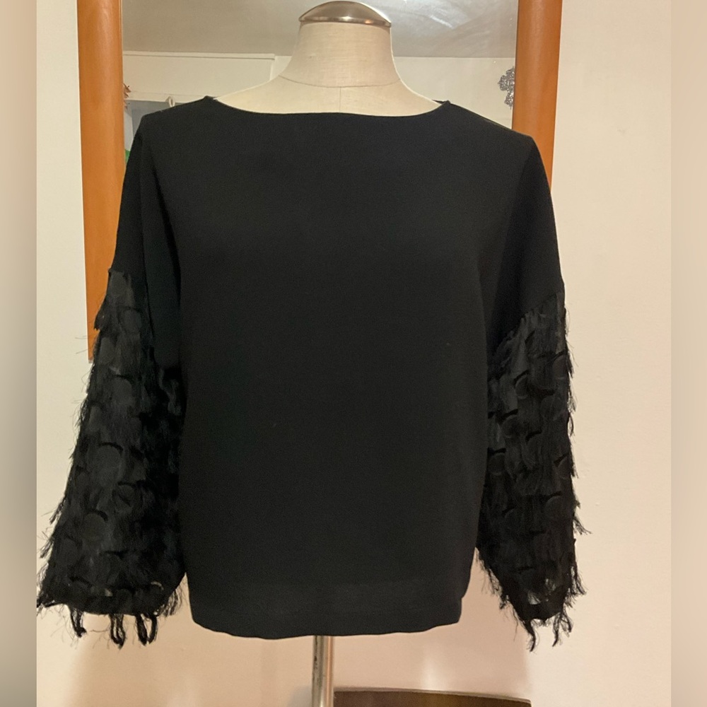 Elegant Black Feather Sleeve Top